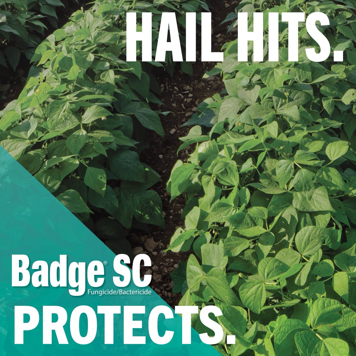 Dean Wanner tweet media