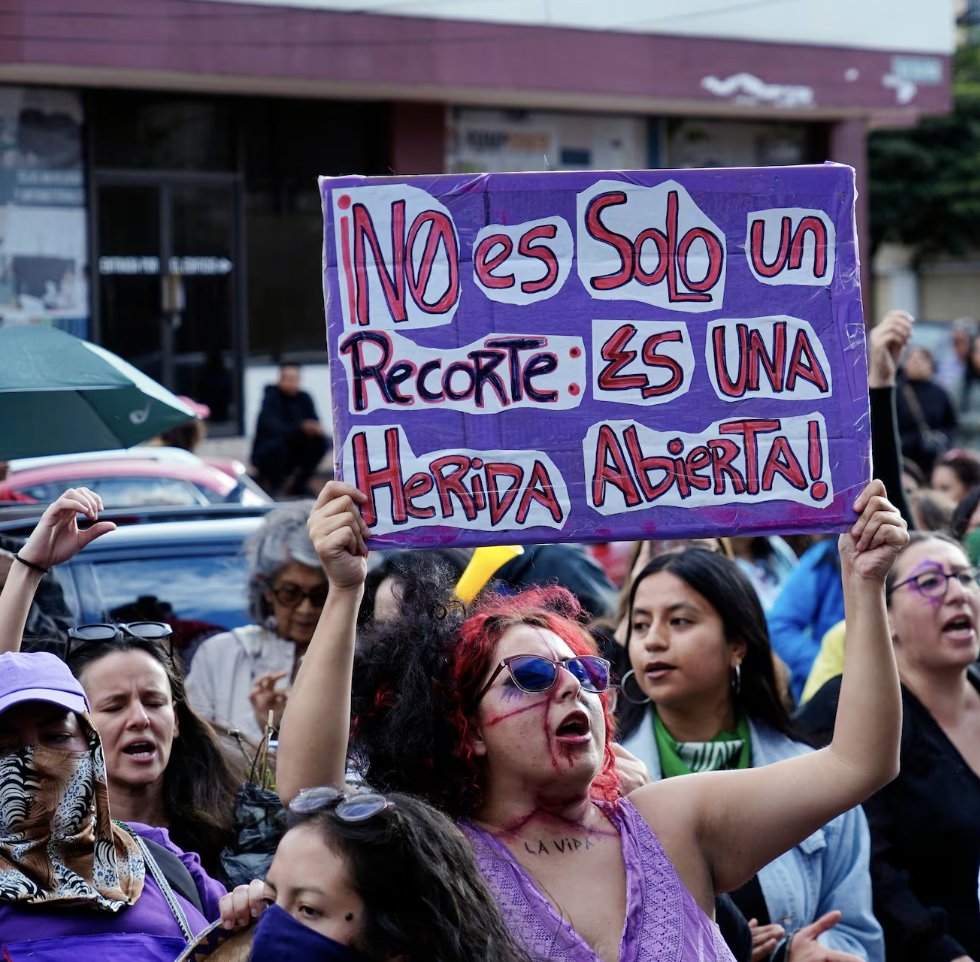 No es Noboa, es un ciclo: desde 2018 élites-FMI saquean la nación.

No reducen el Estado que subsidia mineras, borra deudas a los ricos, viola DDHH...Mutilan el Estado que procura derechos (Edu, Cult, Mujer, Ambiente) y cuida la vida.

¿Eficiencia? No. Guerra contra lxs de abajo.
