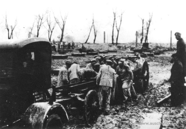 PODCAST | Starvation and slave labour of Auschwitz prisoners

Two extremely important factors in the exhaustion, deprivation, and destruction of prisoners at Auschwitz were hunger and hard slave labour.

Dr. Jacek Lachendro of the Auschwitz Memorial Research Centre talks in our