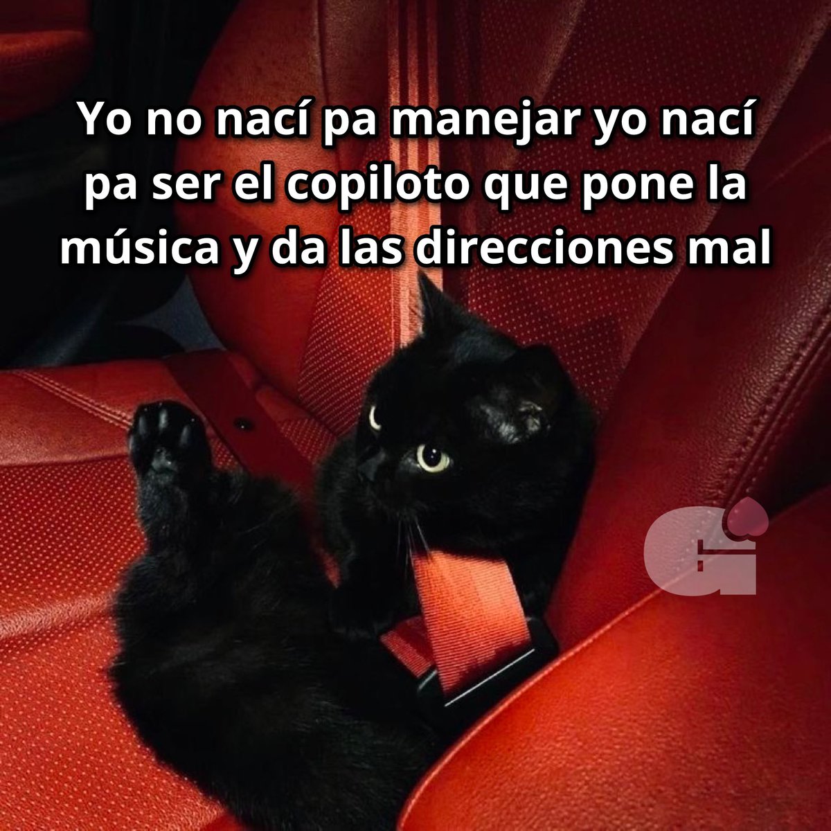 Guarromantico_'s tweet image. Efectivamente.