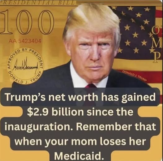 Poppy 💫🇦🇺☮🍅🥒🥕🥭🍊🍋 (@trevor_allan_1) on Twitter photo 