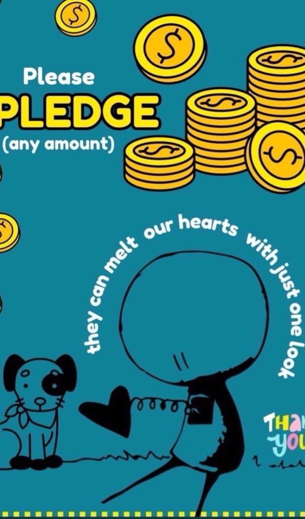 Wynjym ChrisNP 🇨🇦 #IStandWithTrudeau (@wynjym) on Twitter photo 