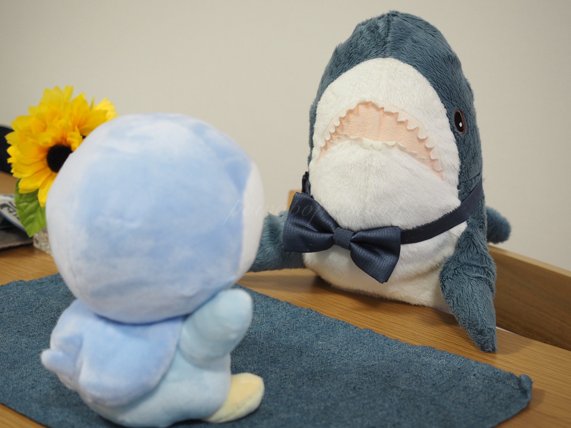 ぽわページ ぽわぽぽ (@powapopo_shark) / X