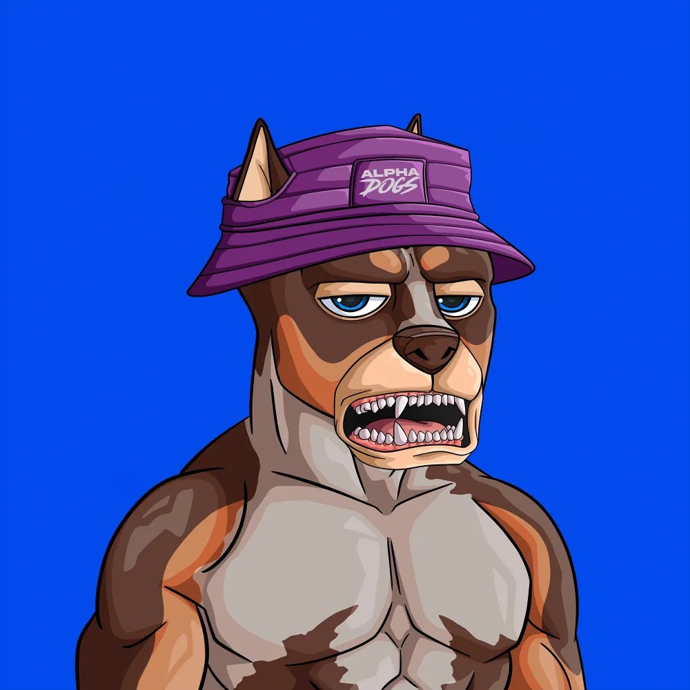 <a href="/EmmanuelEriye/">SELE DIGITAL</a> <a href="/ApeAlphaDogs/">ALPHA DOGS ON APE</a> Welcome boss ...
Thanks to <a href="/woofcuhz/">4five6</a> and the <a href="/ApeAlphaDogs/">ALPHA DOGS ON APE</a> for always supporting my community.