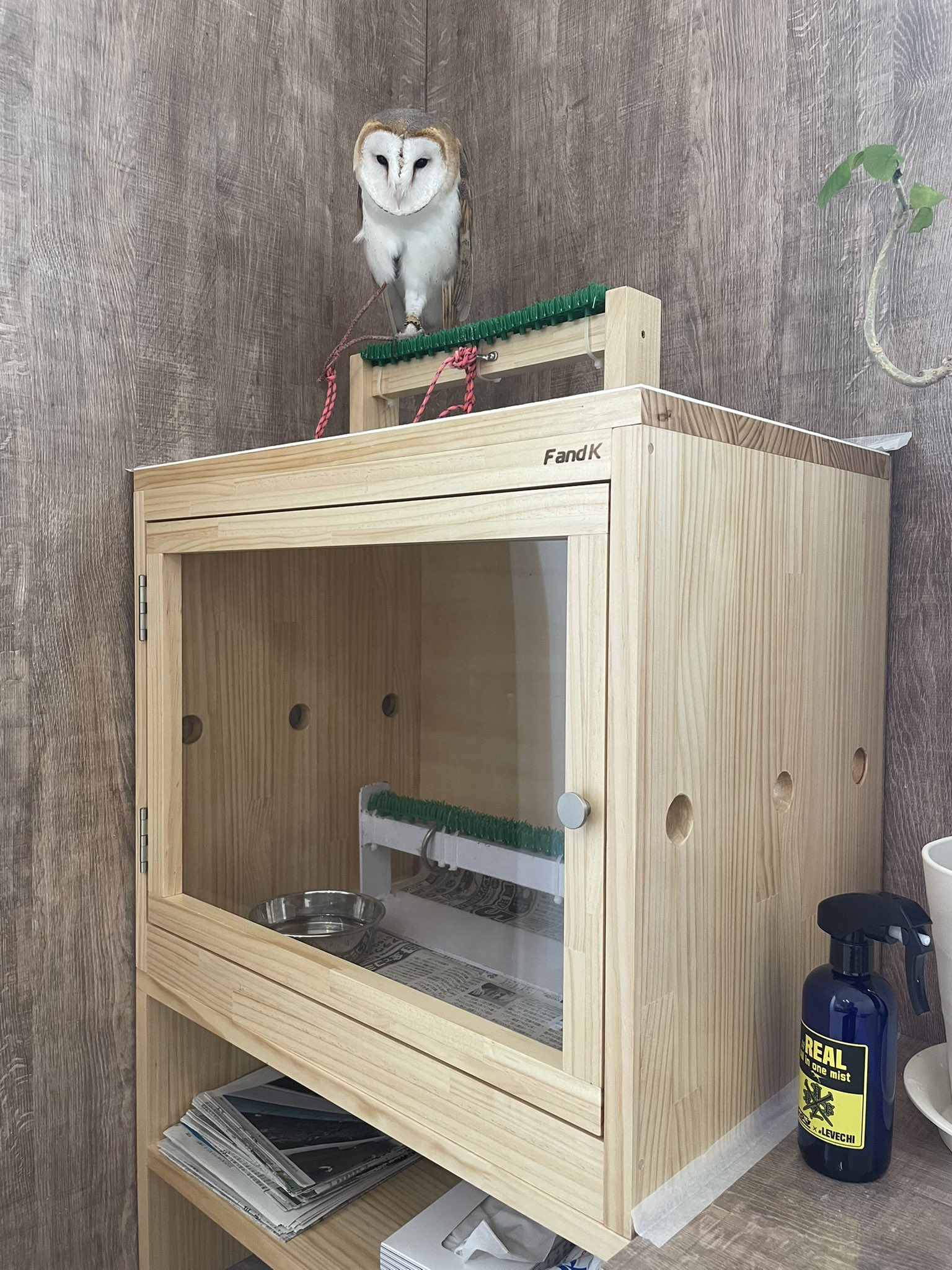 タクワン様専用 FandK爬虫類木製ケージ 引き出し仕様 【公式通販】