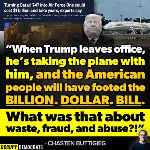 Poppy 💫🇦🇺☮🍅🥒🥕🥭🍊🍋 (@trevor_allan_1) on Twitter photo 