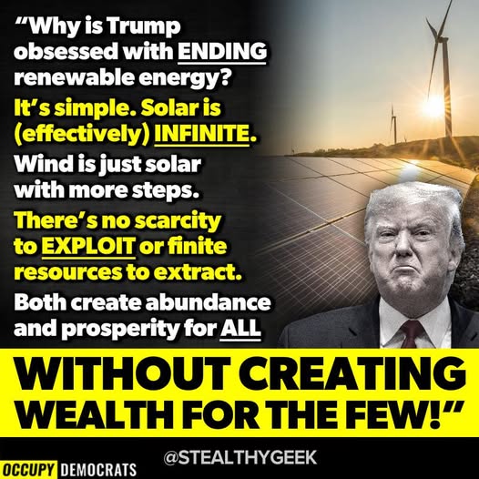 Poppy 💫🇦🇺☮🍅🥒🥕🥭🍊🍋 (@trevor_allan_1) on Twitter photo 