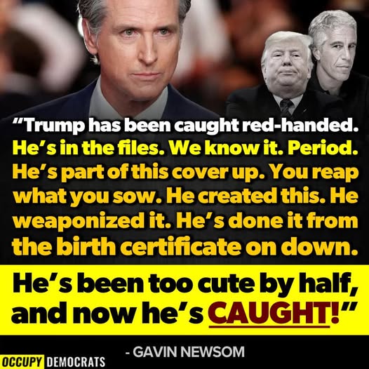 Poppy 💫🇦🇺☮🍅🥒🥕🥭🍊🍋 (@trevor_allan_1) on Twitter photo 