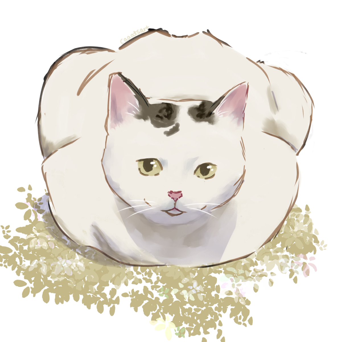 caaatsart's tweet photo. #VGenCode
plz consider supporting me! https://t.co/lP4csUjeeV