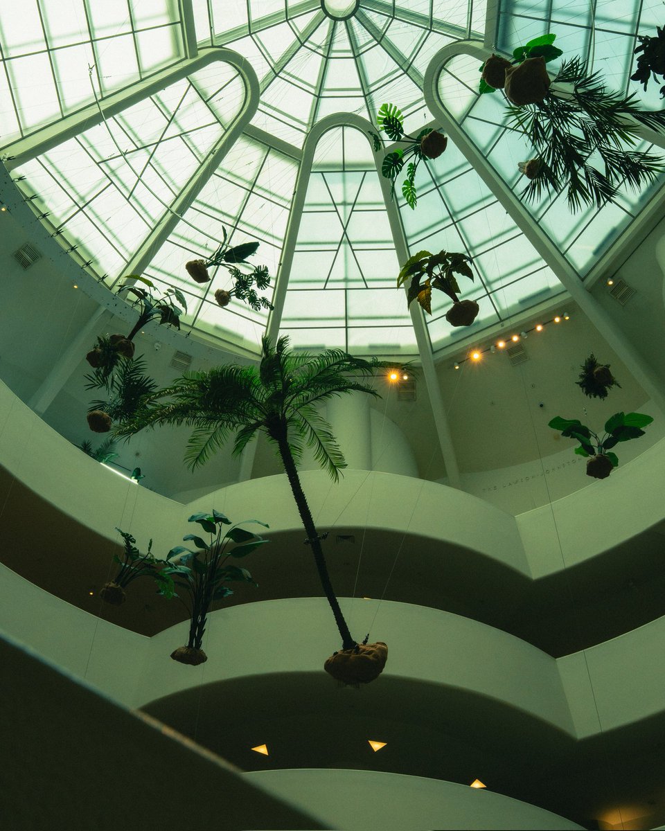 Frank Lloyd Wright Guggenheim 📸 SONY A7c ii