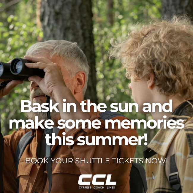 CypressBus's tweet photo. Get ready to have a blast this summer at #CypressMountain with Cypress Coach Lines! 🌞 From hiking to chairlift rides, there's something for everyone! 🚌

BOOK ONLINE TODAY! https://t.co/u26HBz9wR3

#trip #summer #summertrip #bus #bustrip #vancouver #travelsafe #relax #nature https://t.co/lfZ7mN5x3J