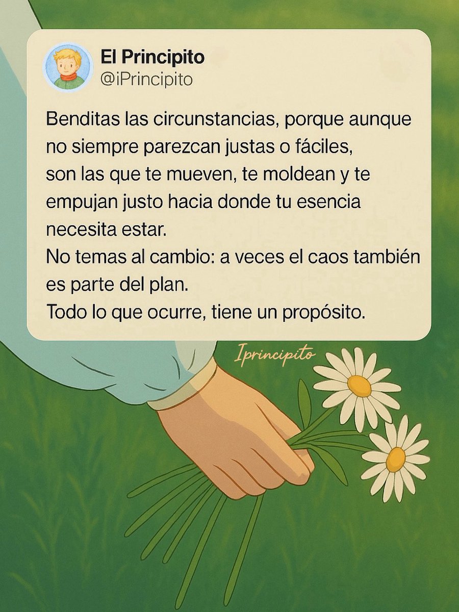 Confiar ✨