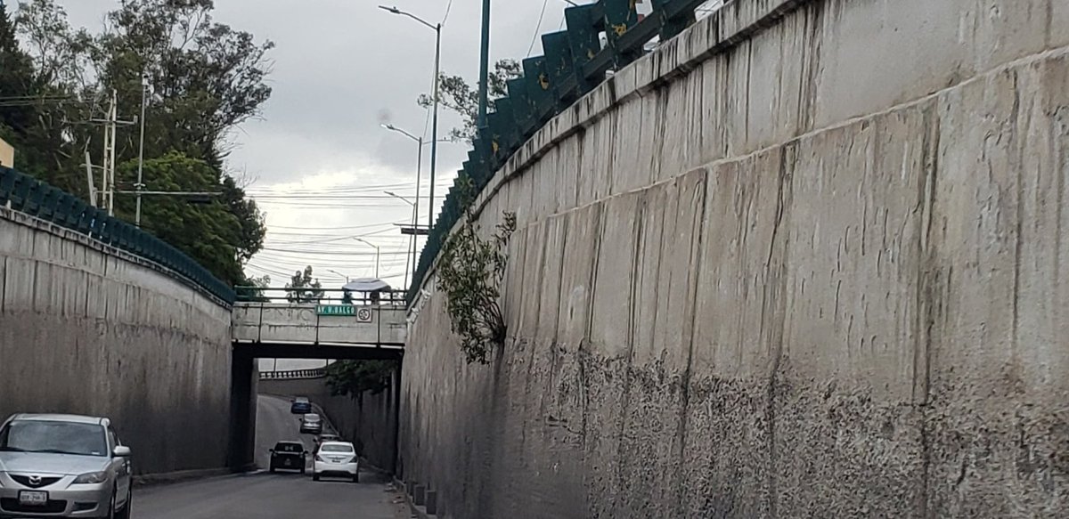 PuntoMedioEdo's tweet photo. 🌳🥴🛤 #Humedad y #arbolitos siguen "#floreciendo" en el #PuenteDeLosGringo; vecinos reportan que cada vez hay más vegetación por las filtraciones que hay sobre esta estructura de Cuautitlán #Izcalli.
Piden a PC evaluar si existe algún riesgo, ante las condiciones del deprimido. https://t.co/esSRSwldNi