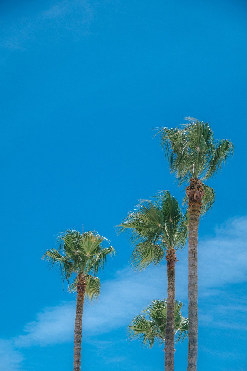 hibino_photo296's tweet image. 夏だよ