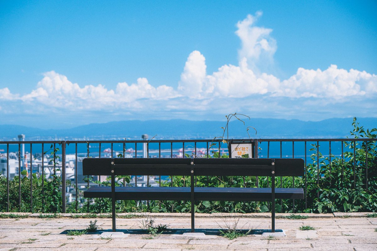 hibino_photo296's tweet image. 夏だよ