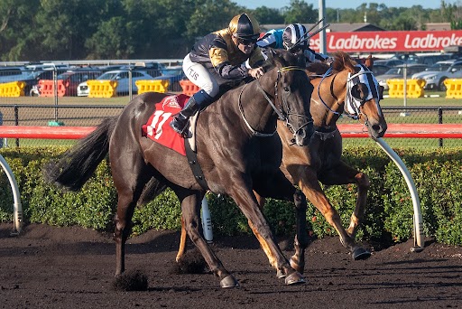 Giddy Up With Gareth Hall (@sengiddyup) on Twitter photo LISTEN | <a href="/RoblRacing/">Robl Racing</a> joined <a href="/PfitznerMiles/">Miles Pfitzner</a> for an update on his stable looking to defend his title in the Darwin Cup with Hadouken before previewing a nice 2yo in Anders' Style making his debut at Doomben today.
cms.megaphone.fm/channel/NTETP9โฆ LISTEN | <a href="/RoblRacing/">Robl Racing</a> joined <a href="/PfitznerMiles/">Miles Pfitzner</a> for an update on his stable looking to defend his title in the Darwin Cup with Hadouken before previewing a nice 2yo in Anders' Style making his debut at Doomben today.
cms.megaphone.fm/channel/NTETP9โฆ