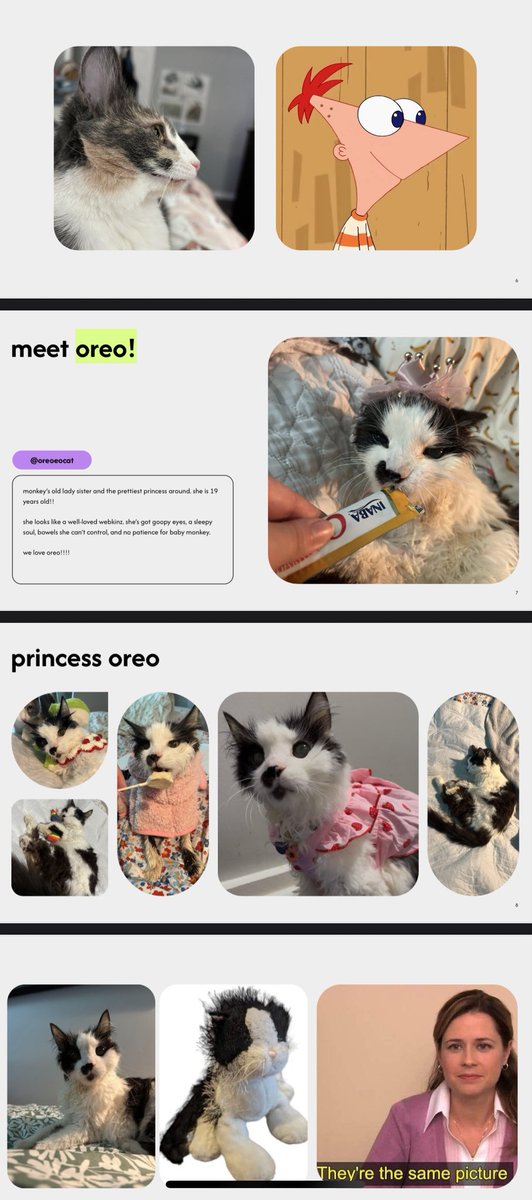 nat ✨ (@natelette) on Twitter photo hey <a href="/oreoeocat/">oreo & monkey</a> i just wanted to show you that recently i had a powerpoint night with my friends and i presented my parasocial cat relationships with oreo & monkey as two of the stars 💙 thank you for sharing your girls with us! they bring me lots of smiles hey <a href="/oreoeocat/">oreo & monkey</a> i just wanted to show you that recently i had a powerpoint night with my friends and i presented my parasocial cat relationships with oreo & monkey as two of the stars 💙 thank you for sharing your girls with us! they bring me lots of smiles