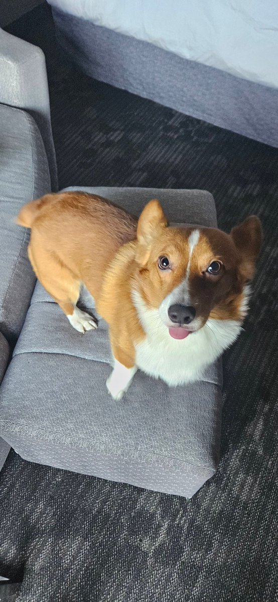 Lando is having fun at connections US. Hotels are his guilty pleasure