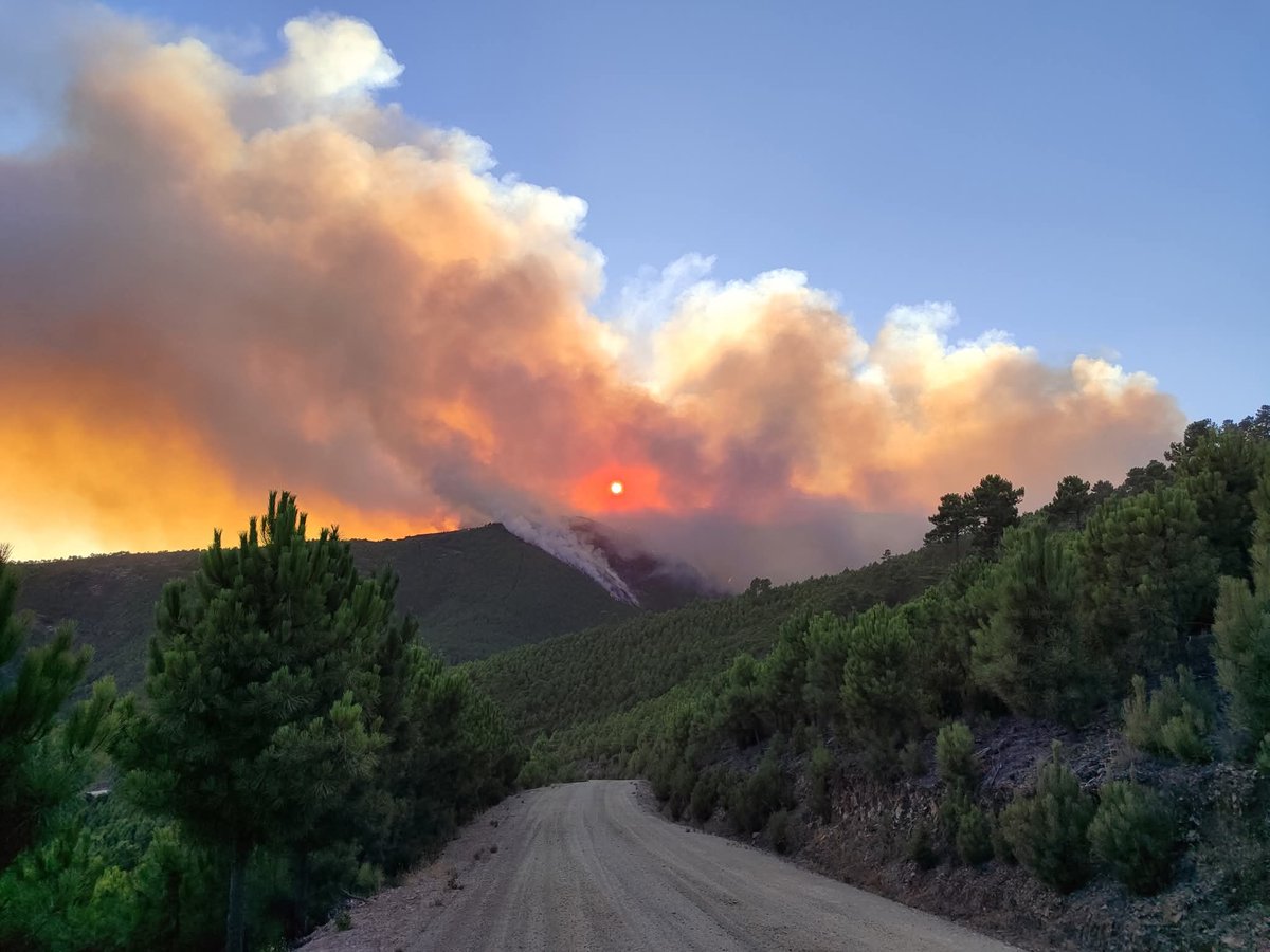 Otro verano más q nos rompen el corazón con los incendios.
Duele ver esto y q algunos vecinos de Las Hurdes tengan q abandonar sus casas por culpa de algún indeseable
Ánimo y precaución a los q luchan por q termine pronto 🖤😔
#IFCaminomorisco