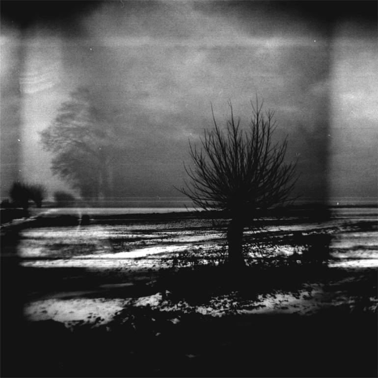 © Jacek Solkiewicz