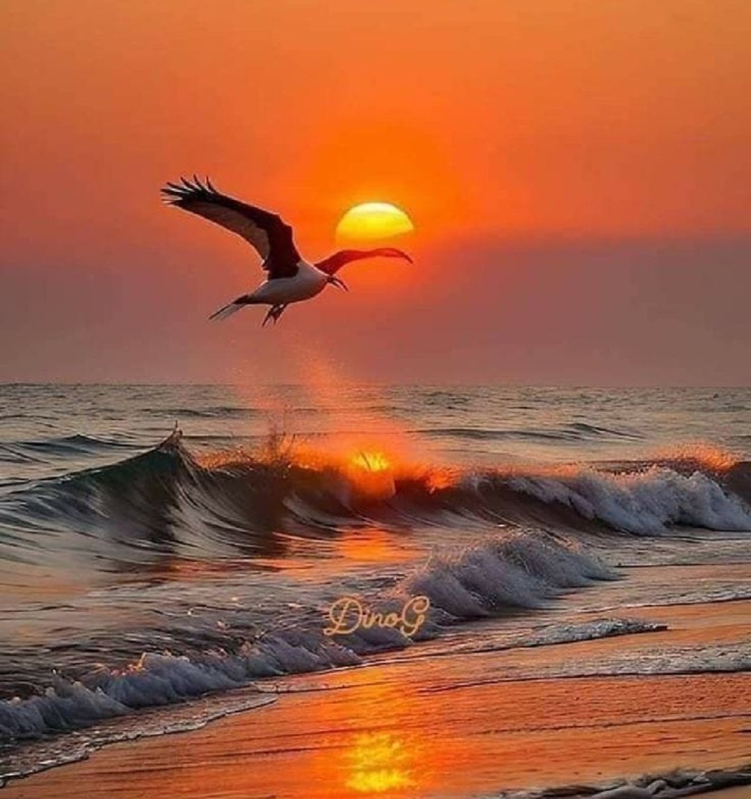 Good Morning All
Have an awesome day ahead. Stay blessed, kind, calm, confident and safe always 🙏🙏🙏❤️

Our Mother Earth and us. Both Beautiful and wonderful. You matter❤️❤️❤️