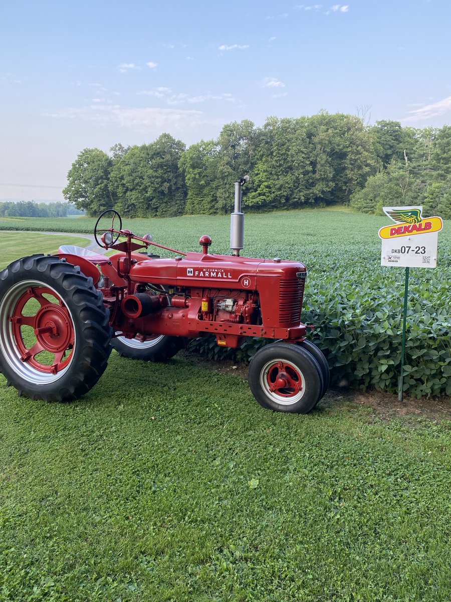 Great growing season so far. Shout out to Jockbrae Farms and Dekalb seeds!!