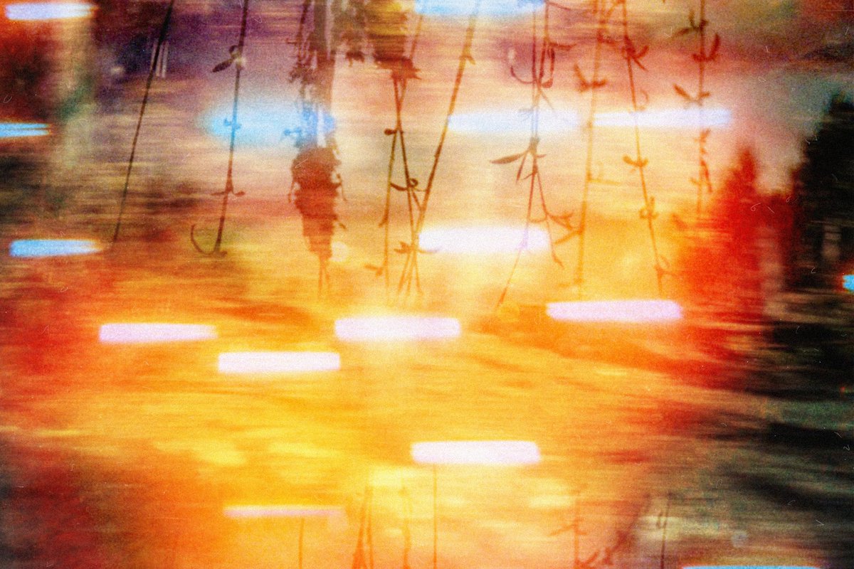 minmin💫 tweet media