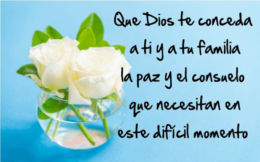 Federicovillalpando tweet media