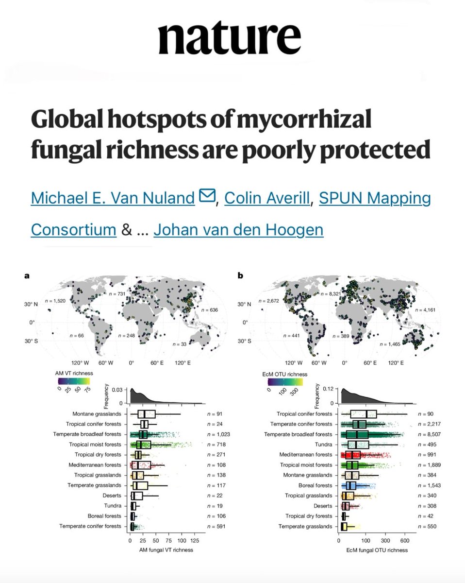 Beneath our feet lies a vast, invisible world that’s vital to life on Earth. A new study in Nature used 2.8 billion DNA sequences to map the global diversity of mycorrhizal fungi and the findings are urgent.

These fungi form underground networks that nourish forests, store