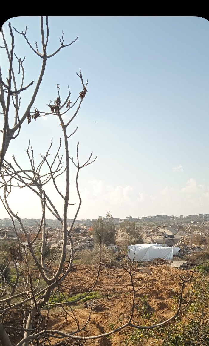 If you’re scrolling, PLEASE leave a dot.

We are starving.