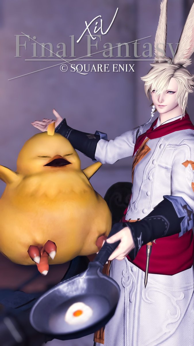 おはようございます☕️
「ポチャ🐥と🍳」
#FF14  #ヴィエラ #おはウサ #うさお