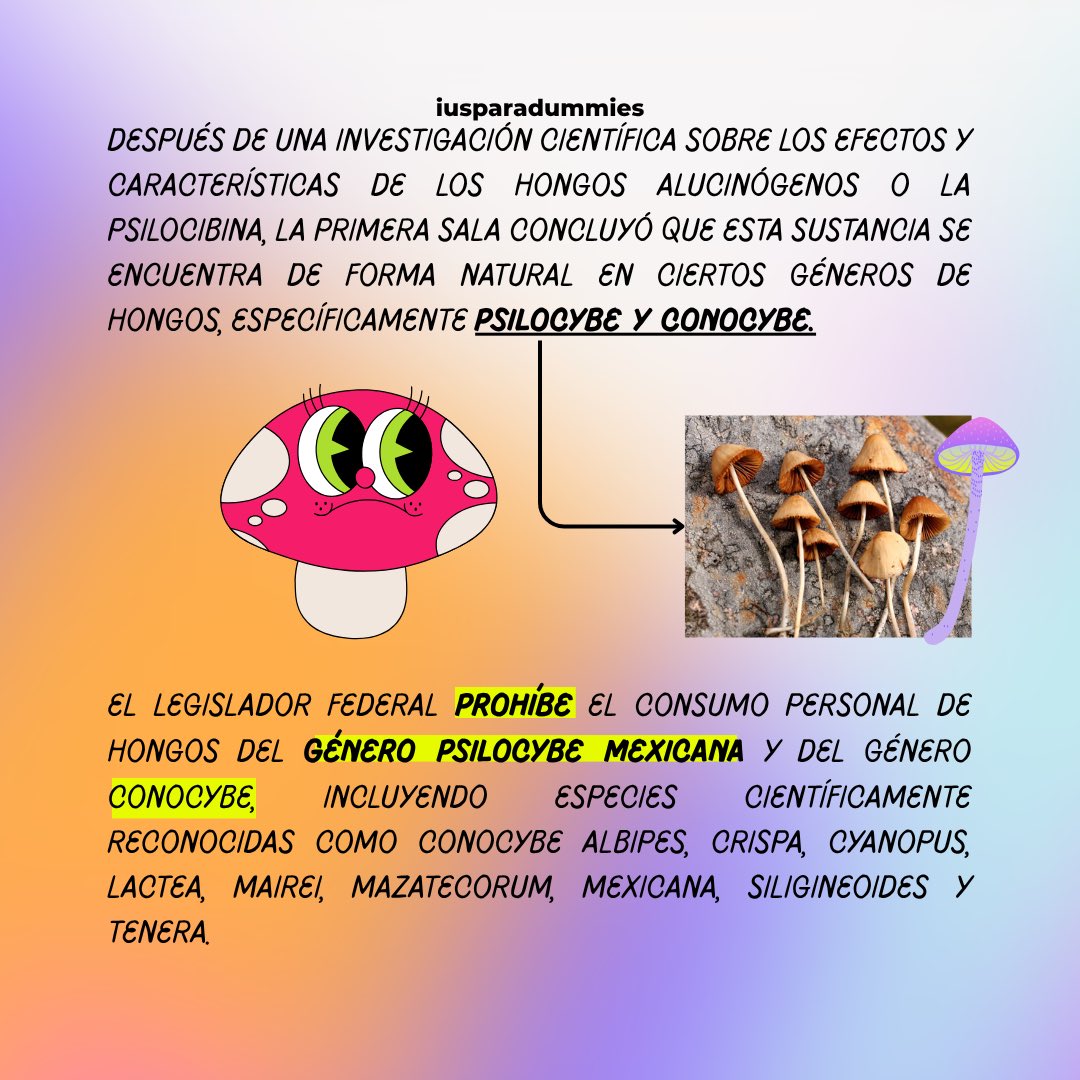 Tweet media two