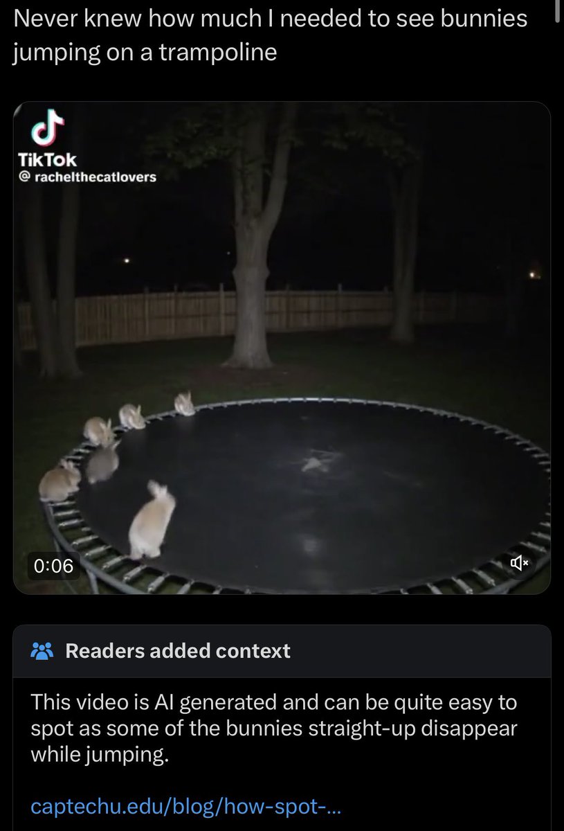 TCardcast's tweet image. You’re kidding me right? I was so fucking engrossed by how cute they were I dead ass didn’t even see one of the bunny’s on the far side of the trampoline VANISH INTO THIN AIR!?!?

I fell for it man. I’m cooked.