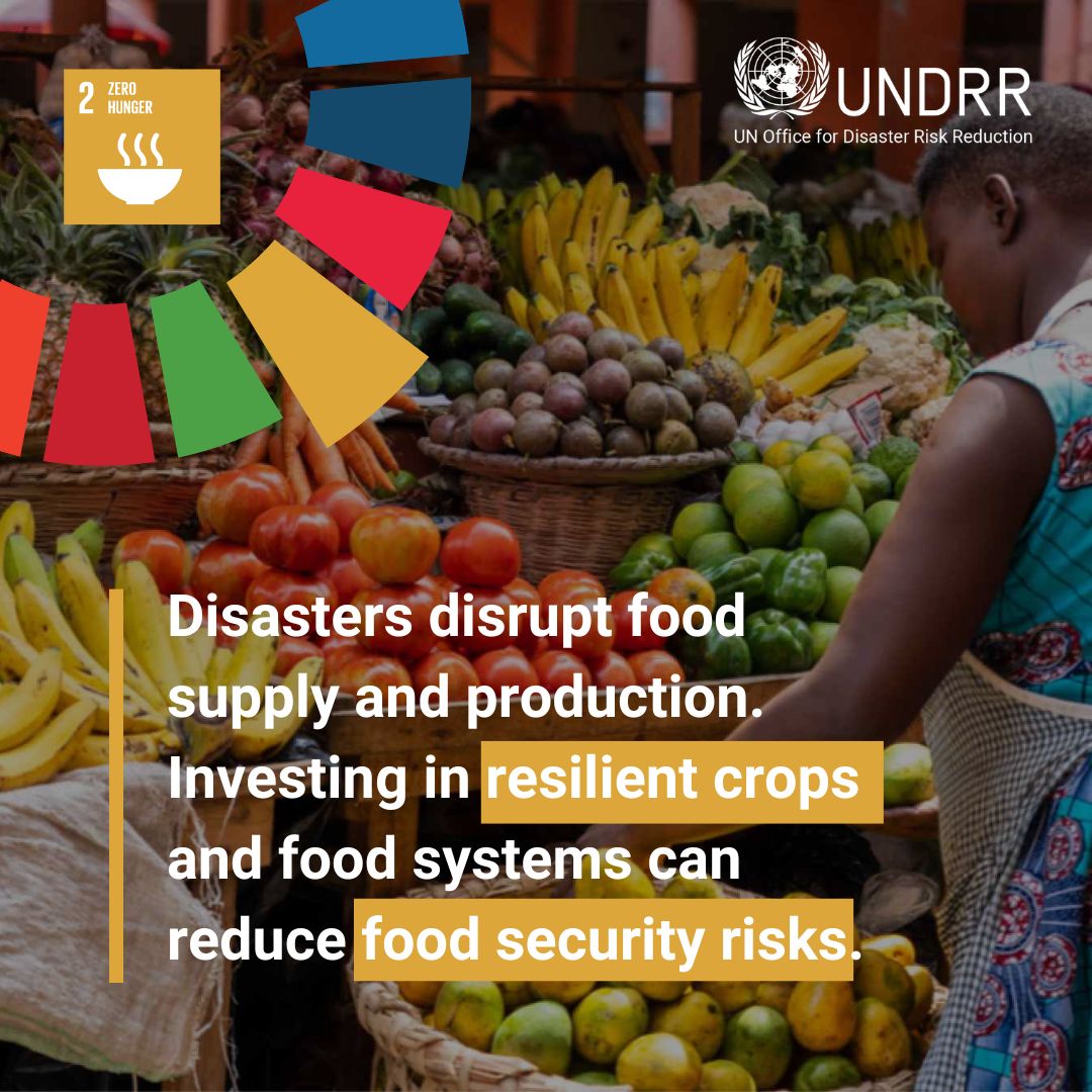 UNDRR (@undrr) on Twitter photo 🥄 In 2024, 673M people faced hunger – but hunger rose in Africa & Western Asia, says #SOFI2025 from 5 <a href="/UN/">United Nations</a> agencies. 🌐
🌪️ Disasters disrupt food systems & drive risk.
🌾 Risk-informed agrifood systems can break the cycle.
➡️ ow.ly/KhIh50WwwNR #SOFI 🥄 In 2024, 673M people faced hunger – but hunger rose in Africa & Western Asia, says #SOFI2025 from 5 <a href="/UN/">United Nations</a> agencies. 🌐
🌪️ Disasters disrupt food systems & drive risk.
🌾 Risk-informed agrifood systems can break the cycle.
➡️ ow.ly/KhIh50WwwNR #SOFI