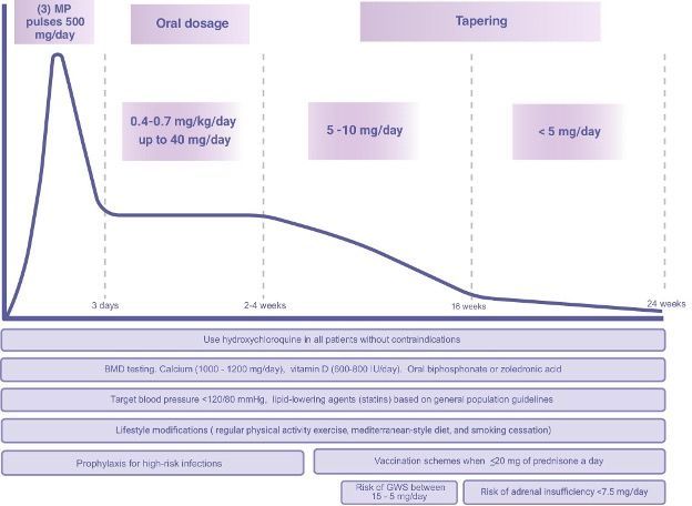 AIN (@nephrosage) on Twitter photo In-depth review on optimizing steroid use in Lupus nephritis.
More info: academic.oup.com/ndt/article/40…
<a href="/NDTsocial/">NDT</a>, <a href="/vinckcaro/">Caroline Vinck</a>, <a href="/hjanders_hans/">Hans-Joachim Anders</a>, <a href="/ERAkidney/">ERA - European Renal Association</a> In-depth review on optimizing steroid use in Lupus nephritis.
More info: academic.oup.com/ndt/article/40…
<a href="/NDTsocial/">NDT</a>, <a href="/vinckcaro/">Caroline Vinck</a>, <a href="/hjanders_hans/">Hans-Joachim Anders</a>, <a href="/ERAkidney/">ERA - European Renal Association</a>