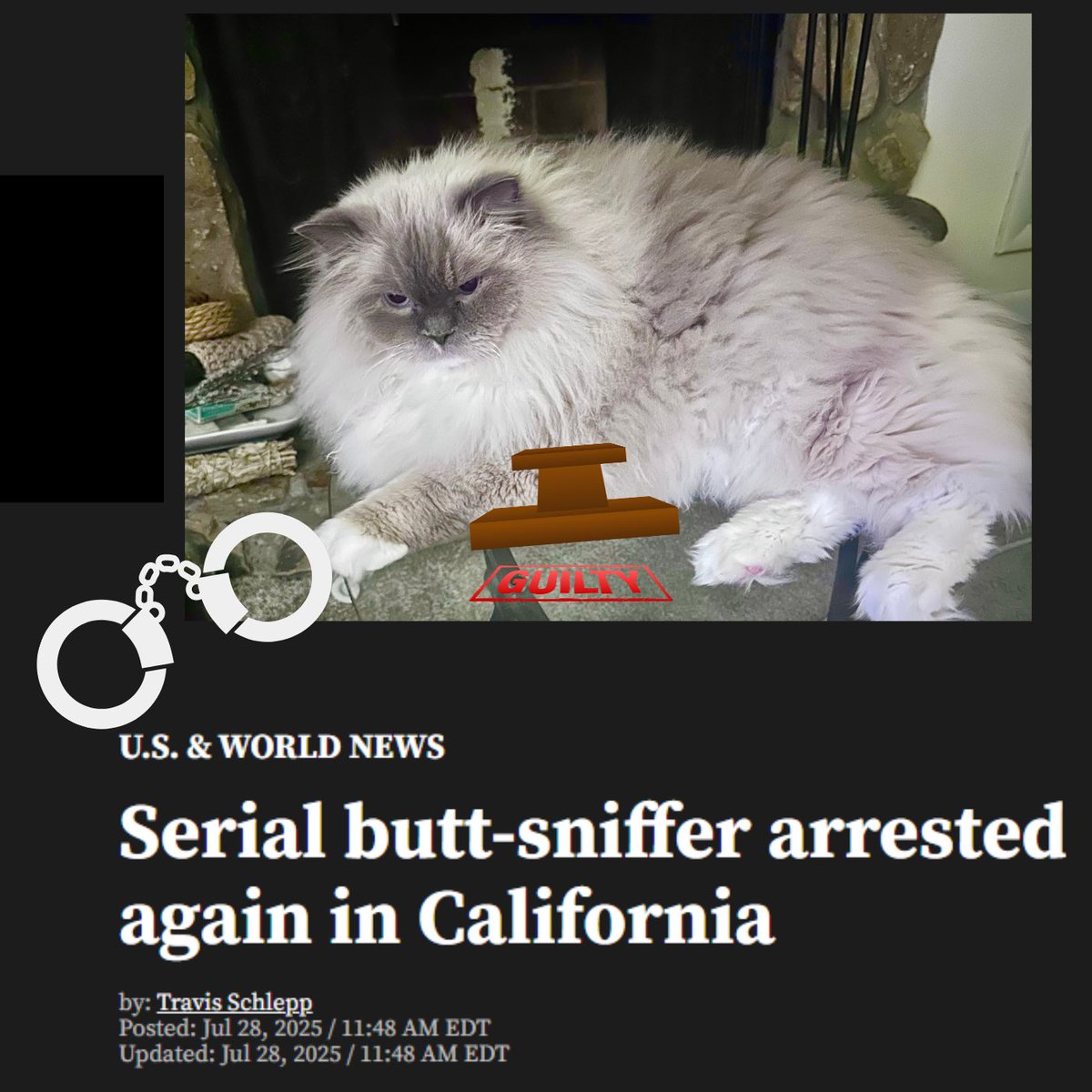 Guilty Sigge😳🤣