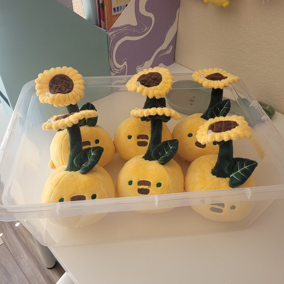 A batch of sunflowers 🌻