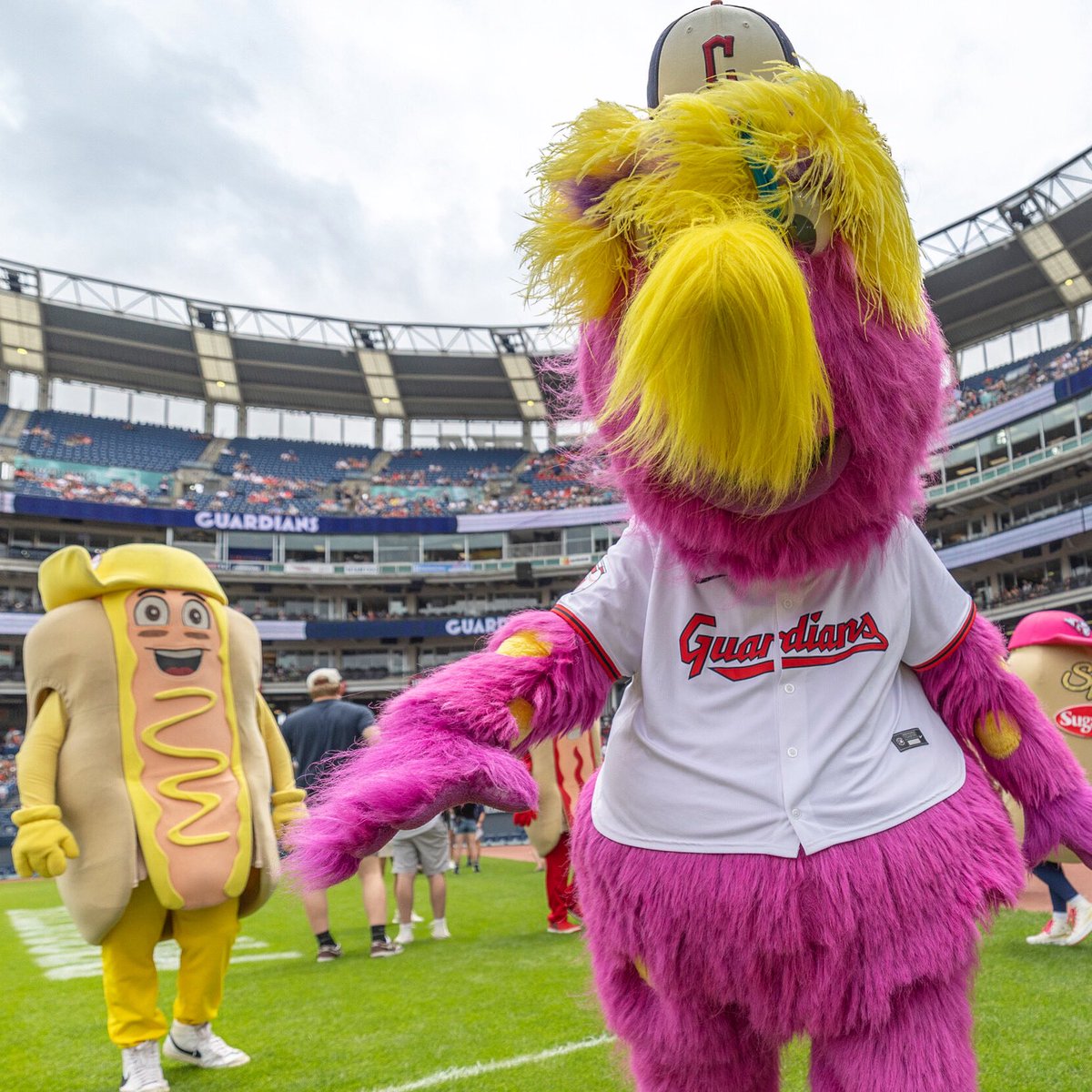 How we look at Slider every day wondering how he’s been doing this for 35 years TODAY! 

Let’s celebrate the big guy on Sunday! 🎂