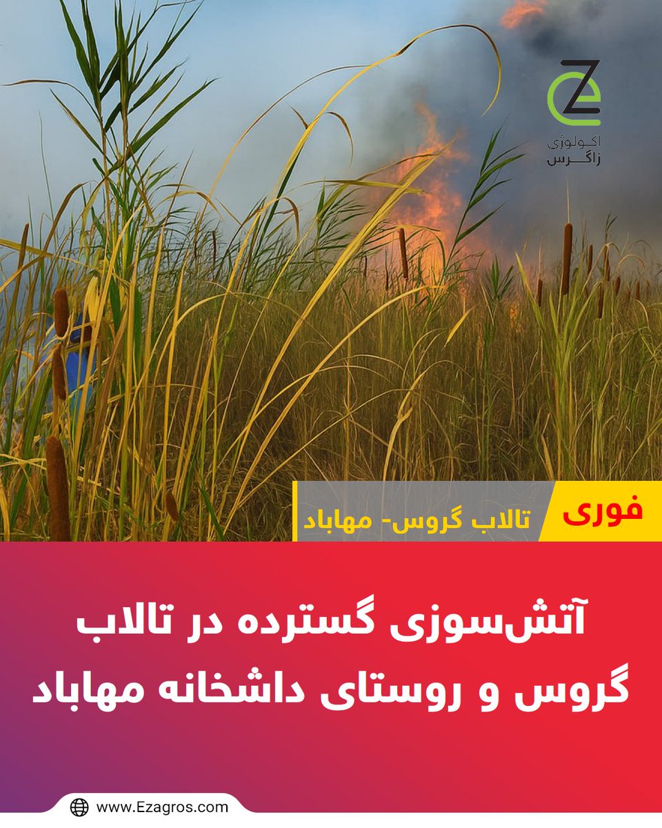 مرکز خبر – امروز ۷ مرداد ۱۴۰۴، تالاب گروس و اطراف روستای داشخانه در جنوب مهاباد شاهد وقوع آتش‌سوزی گسترده‌ای بود. شعله‌ها بخش اعظمی از نیزارها و مراتع پیرامون را در بر گرفتند و با وجود تلاش نیروهای امدادی و مشارکت مردمی، هنوز مهار کامل حریق محقق نشده است.

ezagros.com/fa/%d8%ac%d9%8…