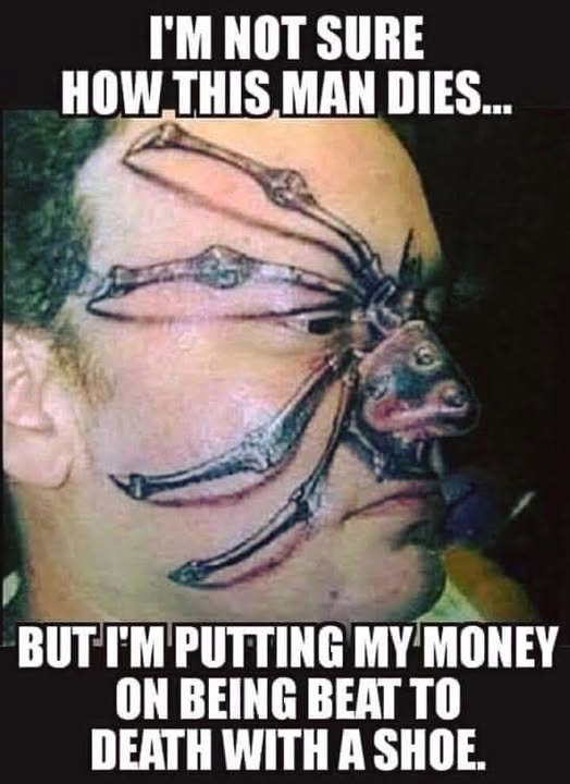 Hillbilly Highlander (@hillbillyhighl1) on Twitter photo 