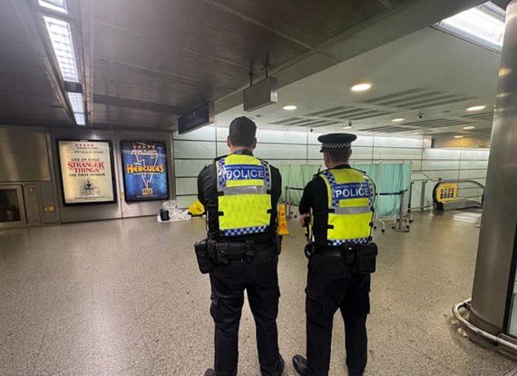 Wolf 🐺 tweet media