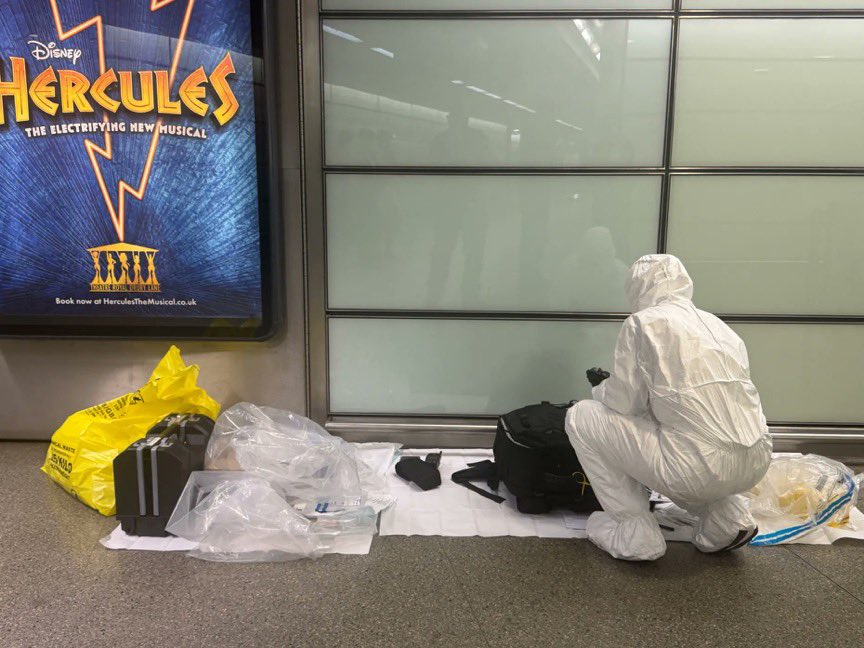 Wolf 🐺 tweet media