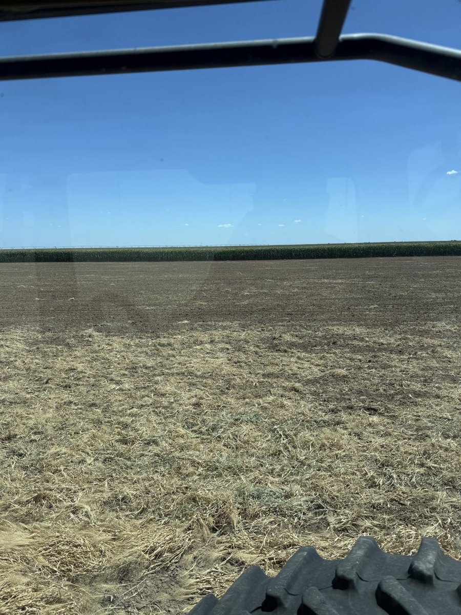 Ran the extra pre emerge Anthem Maxx out on the dryland corner 

Bet you can’t tell where it ran out