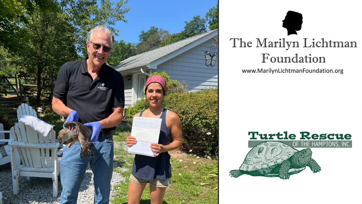 The Marilyn Lichtman Foundation (@m_l_foundation) on Twitter photo We were happy to present #grant funds to <a href="/turtledoctors/">Turtle Rescue of the Hamptons</a> to support their new native #turtle Physical Therapy Trauma Treatment Program. The majority of turtle trauma is sustained to their heads & shells-treatment is key to a full recovery & eventual return to their native habitats We were happy to present #grant funds to <a href="/turtledoctors/">Turtle Rescue of the Hamptons</a> to support their new native #turtle Physical Therapy Trauma Treatment Program. The majority of turtle trauma is sustained to their heads & shells-treatment is key to a full recovery & eventual return to their native habitats