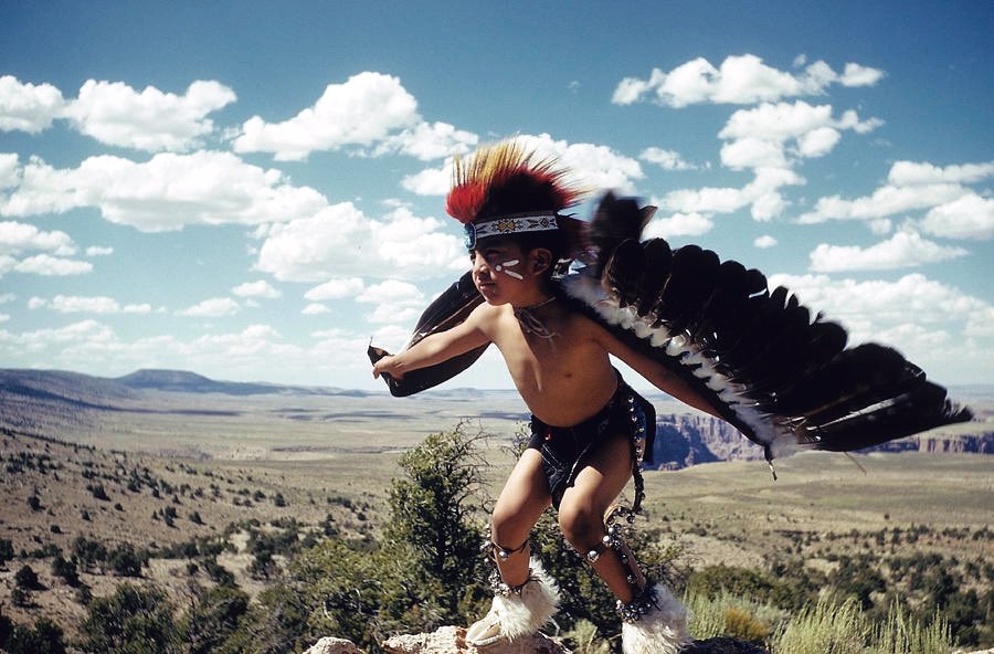 Native3rd's tweet photo. “Bird is safe in its 
nest—but that is not what its wings are made for.”

~ A. Ray, https://t.co/GkMz9V9Ed8