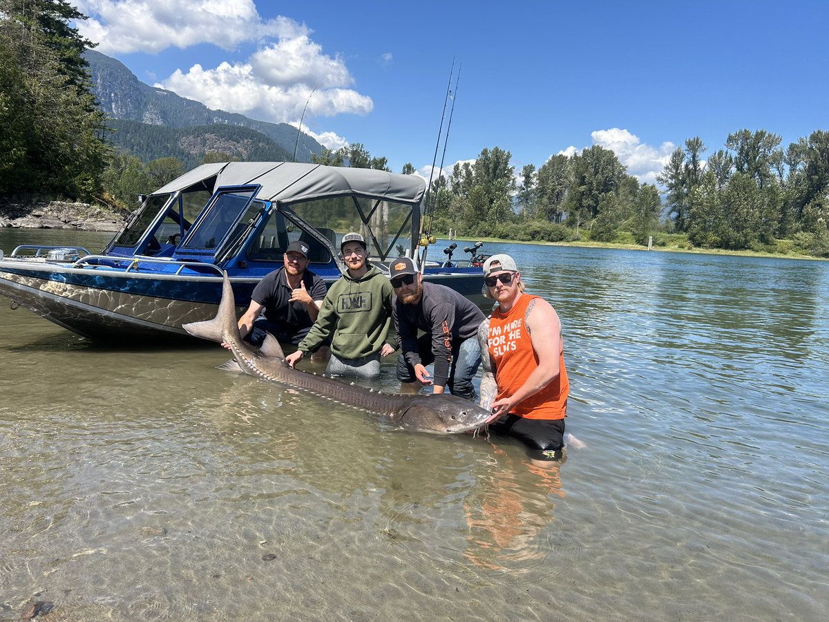 Allen Woolsey tweet media