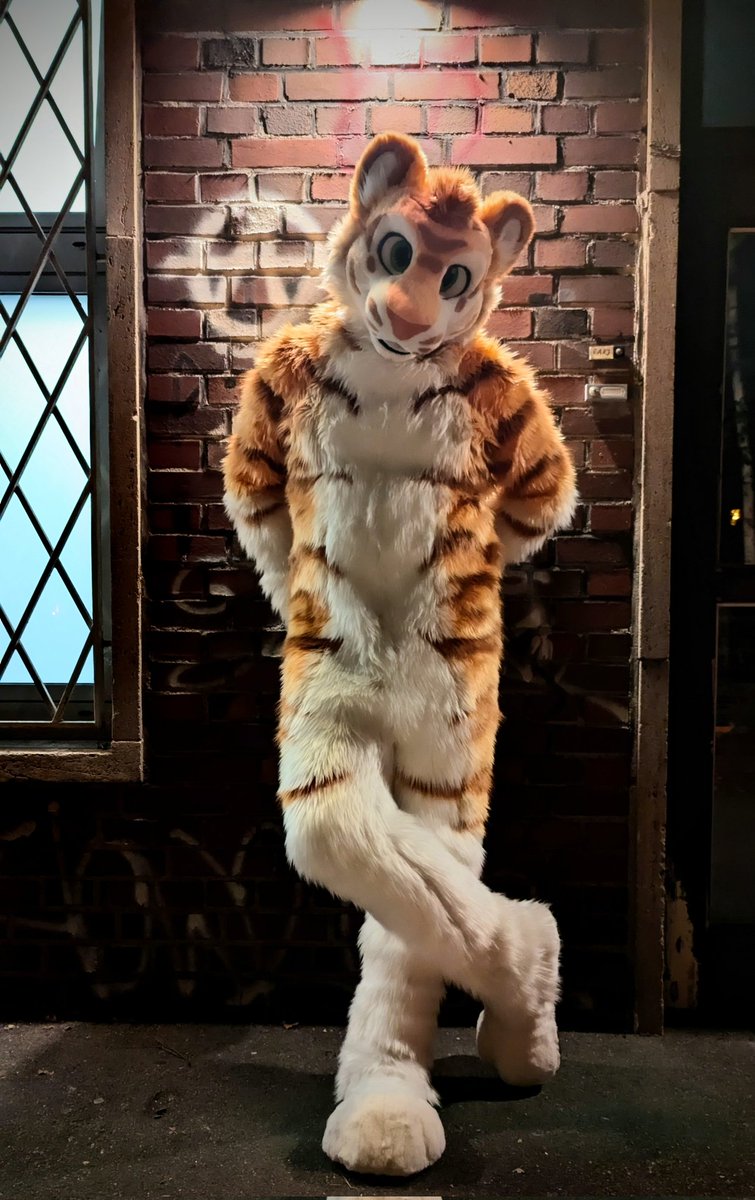 happy international tigerday 

📸 matthusky