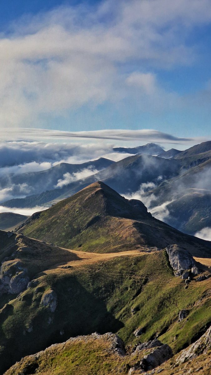 Ese color que nos indica que el verano está en su punto alto.