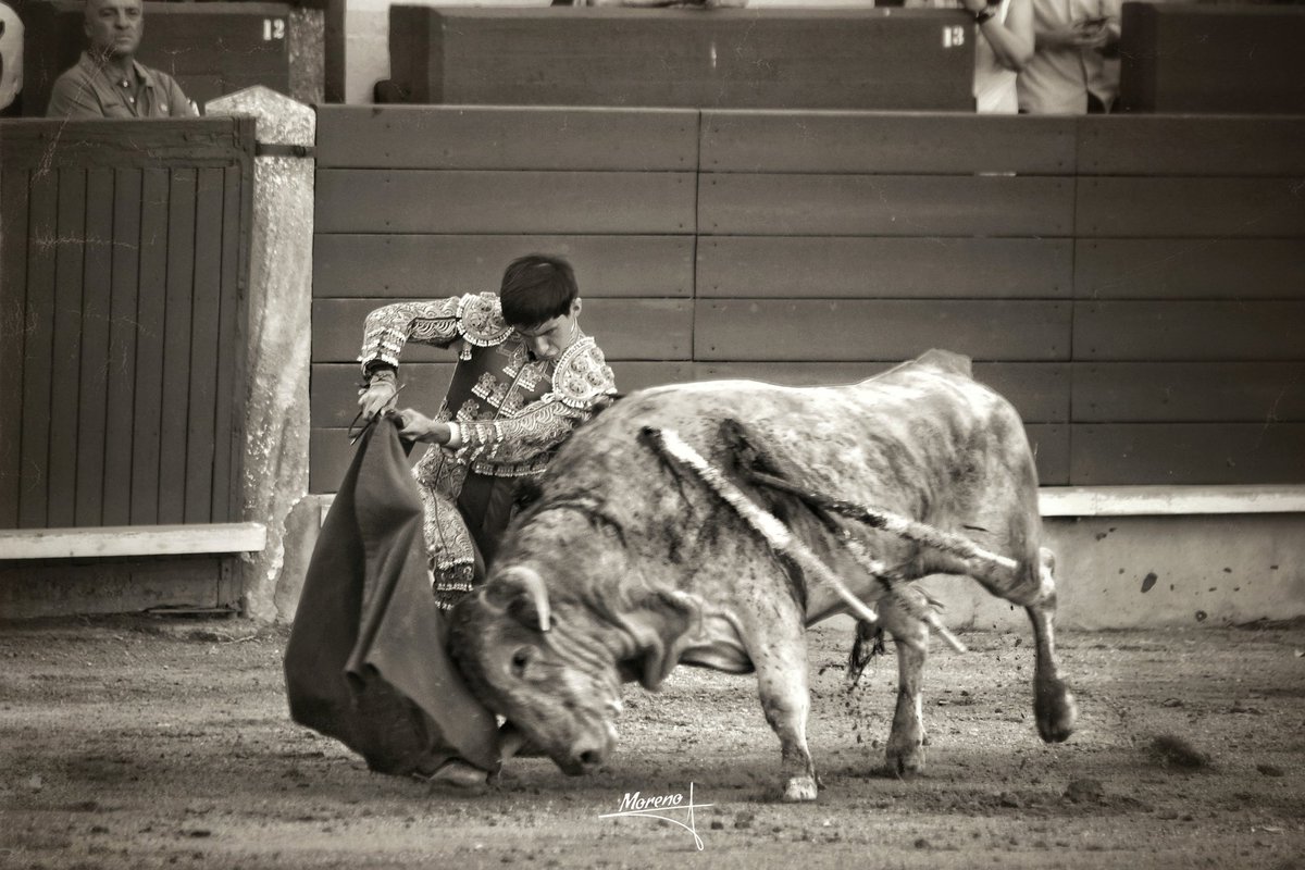 Dejadlos que sueñen...
Yo me entiendo. 
Portarse bien. 

#RaulCaamaño #Mividaenunafoto
#Momentos #Detalles #FotografíaTaurina #FMorenoR #ByN #BlancoyNegro #Sepia