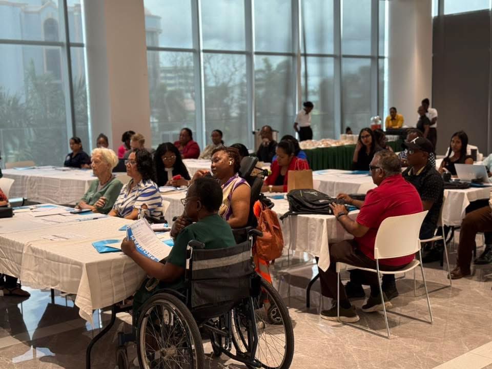 Disability rights = human rights. 

At today’s UN supported multi stakeholder national disability conference, <a href="/GiliianSmith/">GillianSmith</a> 
reaffirmed the UN’s commitment to the global Disability Inclusion Strategy &amp; the CRPD to leave no one behind. 

<a href="/UNICEFGUYSUR/">UNICEFGuyanaSuriname</a> 
<a href="/JeanKamau/">Jean Kamau</a>